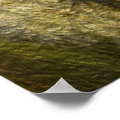 タンポポ種子ヘッド(油彩画) ポスター (角)