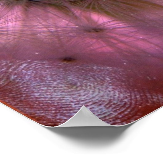 タンポポ種子 ポスター (角)