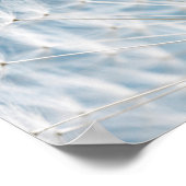 タンポポ種子 ポスター (角)