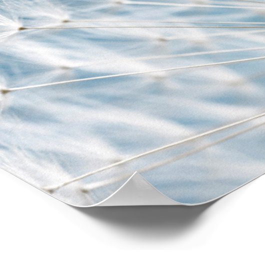 タンポポ種子 ポスター (角)