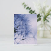 タンポポ種子 ポストカード (スタンド正面)