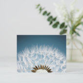 タンポポ種子 ポストカード (スタンド正面)