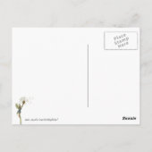 タンポポ絵を描ール ポストカード (裏面)