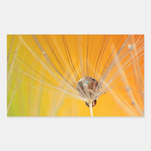 タンポポ花花デスティニー平和ラブアート 長方形シール (正面)