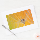 タンポポ花花デスティニー平和ラブアート 長方形シール (封筒)