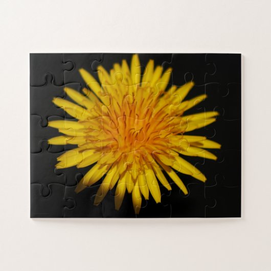 タンポポ花11x14 30pc jpcna ジグソーパズル (横)