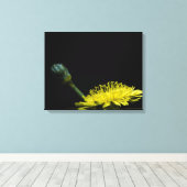 タンポポ花 キャンバスプリント (インサイチュ (ウッドフロア))