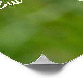 タンポポ花 ポスター (角)