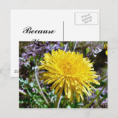 タンポポ花 ポストカード (正面/裏面)