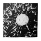 タンポポ黒 タイル (正面)