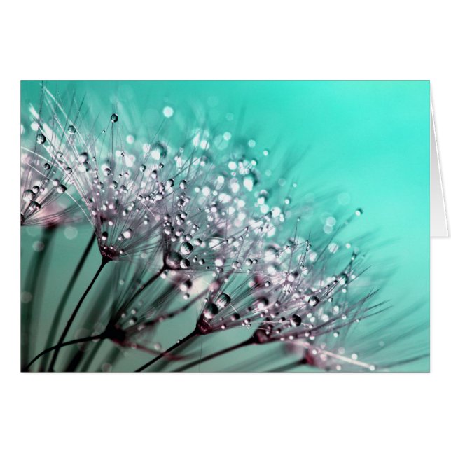 タンポポ (正面横)