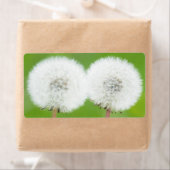 タンポポ2つ ラベル (インサイチュ)