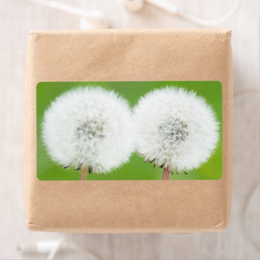 タンポポ2つ ラベル (インサイチュ)