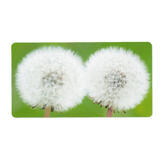 タンポポ2つ ラベル (正面)