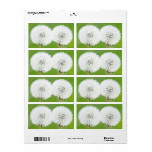 タンポポ2つ ラベル (フルシート)