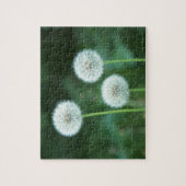 タンポポ2 ジグソーパズル (縦)