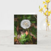 タンポポ カード (黄色い花)