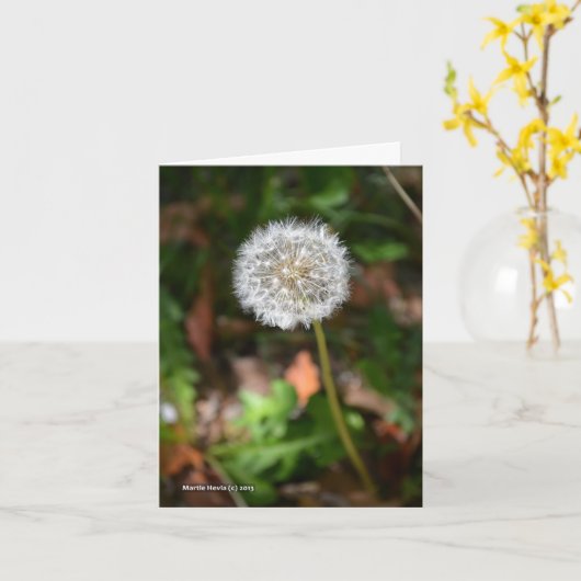 タンポポ カード (黄色い花)