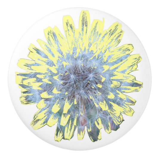 タンポポ セラミックノブ (正面)