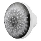 タンポポ セラミックノブ (右)