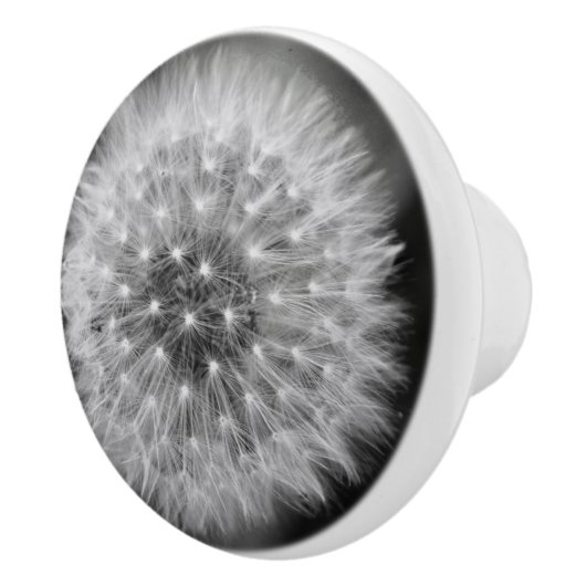 タンポポ セラミックノブ (右)