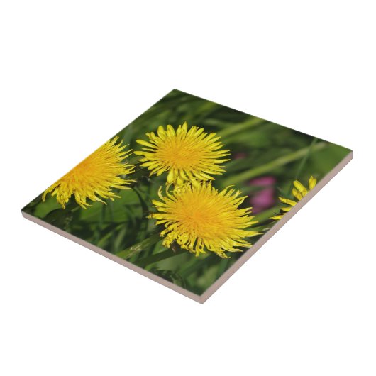 タンポポ タイル (側面)