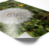 タンポポ フォトプリント            (角)