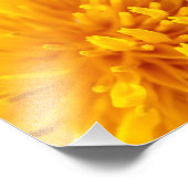 タンポポ フォトプリント            (角)