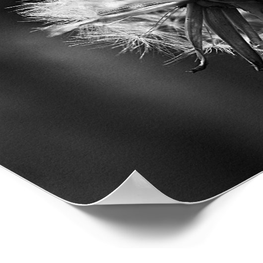 タンポポ ポスター (角)