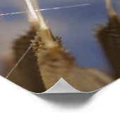 タンポポ ポスター (角)