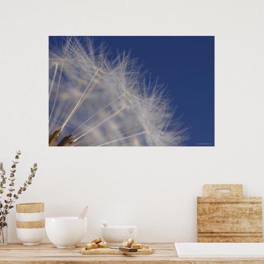 タンポポ ポスター (キッチン)