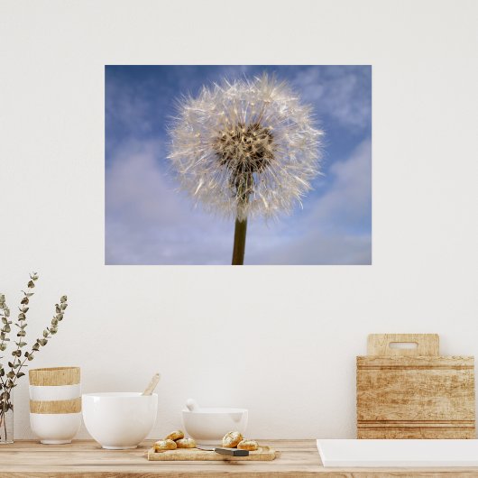 タンポポ ポスター (キッチン)