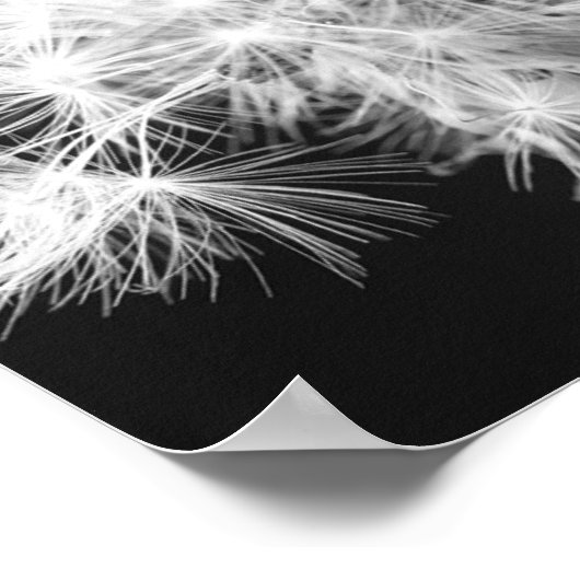 タンポポ ポスター (角)