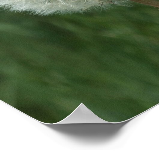 タンポポ ポスター (角)