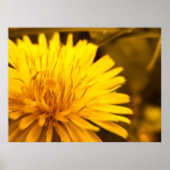 タンポポ ポスター (正面)