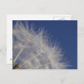 タンポポ ポストカード (正面/裏面)