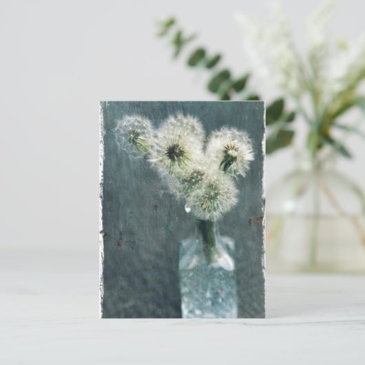 タンポポ ポストカード (スタンド正面)