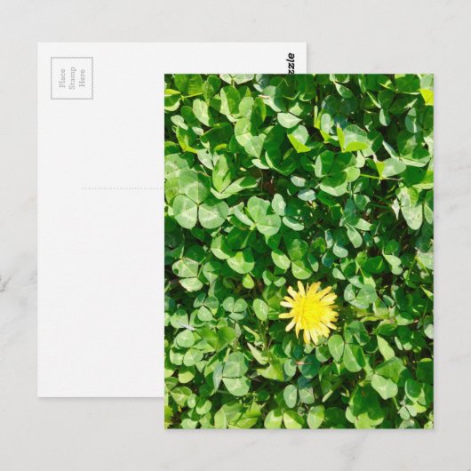 タンポポ ポストカード (正面/裏面)