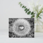 タンポポ ポストカード (スタンド正面)