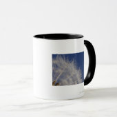 タンポポ マグカップ (正面右)