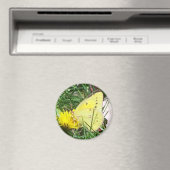 タンポポ マグネット (インサイチュ (食洗機))