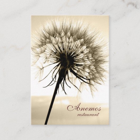 タンポポ 名刺 (正面)