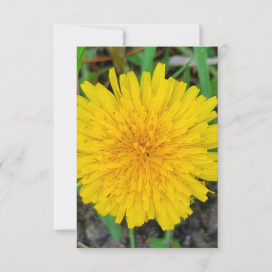 タンポポ 招待状 (正面)