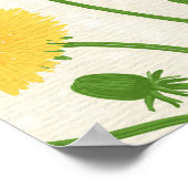 タンポポ，緑，黄色と白 ポスター (角)