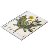 タンポポ(色の版木、銅版、版画) ノートブック (左側)