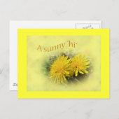 タンポポ – A Sunny Hi ポストカード (正面/裏面)