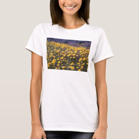 タンポポ Tシャツ (正面)