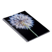 タンポポ (Taraxacum Officinale) 種子 ノートブック (右側)