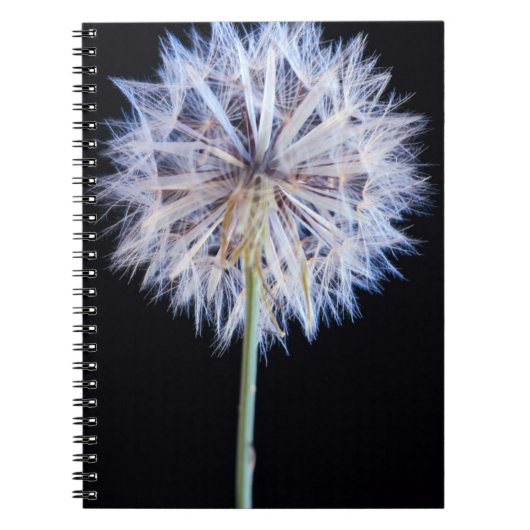 タンポポ (Taraxacum Officinale) 種子 ノートブック (正面)