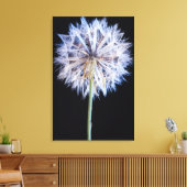 タンポポ (Taraxacum Officinale) 綿毛 キャンバスプリント (インサイチュ (リビング))
